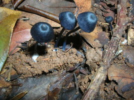 DSCN4470.JPG