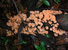 DSCN4462.JPG