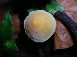 DSCN4459.JPG