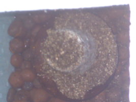 IMAG0007-1.jpg