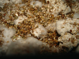 casing2.jpg