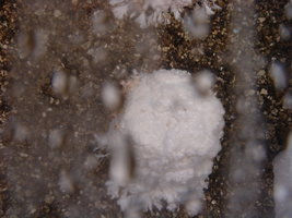 DSC07636.JPG
