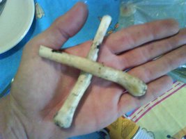 DSC00736 (800 x 600).jpg