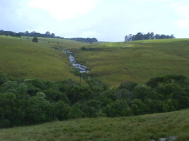 DSC00724.JPG