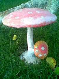 Imag005.jpg