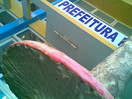 Imag006.jpg