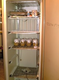 cultivo 1009 015.jpg