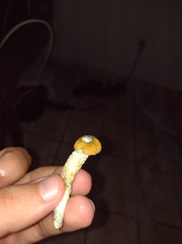 IMG_20230419_183510036.jpg