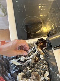 IMG_1288.jpeg