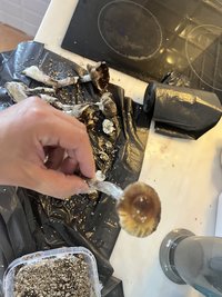 IMG_1287.jpeg