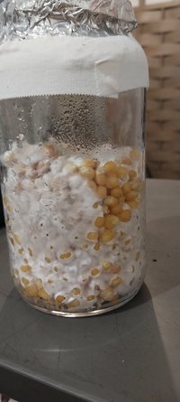 20230713_194010.jpg