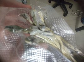 IMG_20230717_024303.jpg