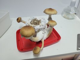 20230726_084930.jpg