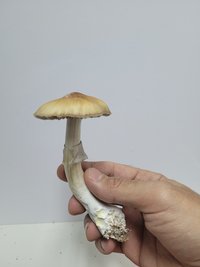 20230726_085108.jpg