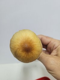 20230726_085124.jpg