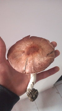 IMG-20230730-WA0055.jpeg