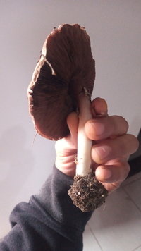 IMG-20230730-WA0057.jpeg