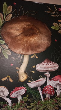 IMG-20230730-WA0070.jpeg