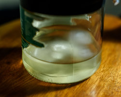 Funghi_13_07_23-1.jpg