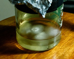 Funghi_13_07_23-2.jpg