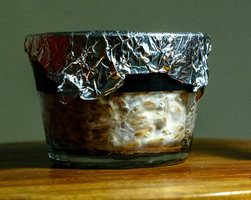 Funghi_13_07_23-3.jpg