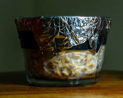 Funghi_13_07_23-4.jpg