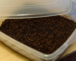 Spawn to Bulk - 015.jpg