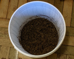 Spawn to Bulk - 059.jpg