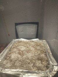 IMG_20230811_224305526.jpg