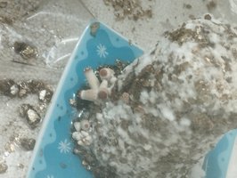 IMG_20230830_100631.jpg