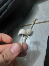 20230901_173018.jpg