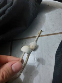 20230901_173014.jpg
