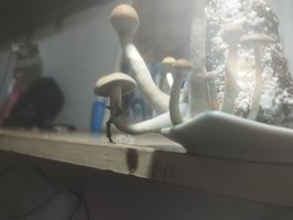 IMG_20230902_094652.jpg