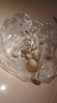 IMG-20230902-WA0089.jpeg