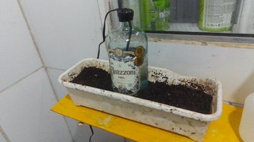 IMG-20230914-WA0010.jpeg