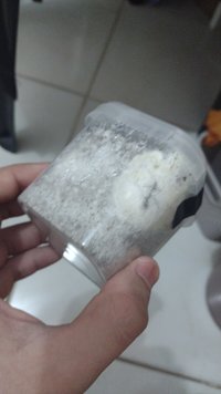 IMG-20230915-WA0002.jpeg