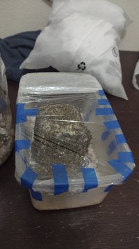 IMG-20230915-WA0031.jpeg