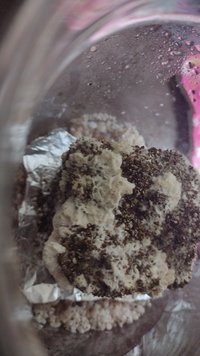 IMG-20230917-WA0009.jpeg