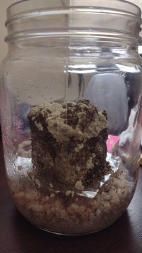 IMG-20230917-WA0017.jpeg