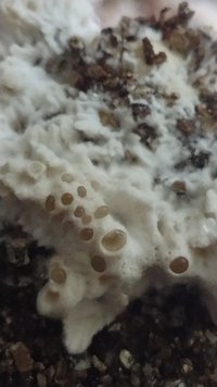 IMG-20230917-WA0019.jpeg