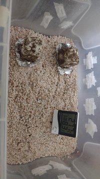 IMG-20230918-WA0028.jpeg