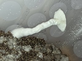 SGCAM_20230918_020428292.jpg