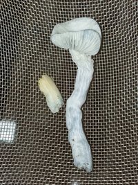 SGCAM_20230919_130330759.jpg