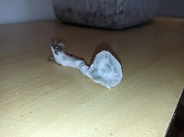 SGCAM_20230919_120712910.jpg