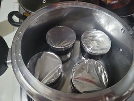 cogumelo4 (4).jpeg