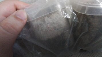 IMG-20231007-WA0019.jpg