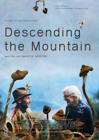 Descending the mountain