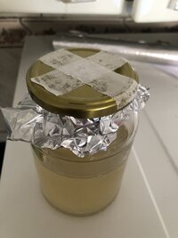 IMG_4578.jpeg