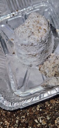 20231127_201131.jpg