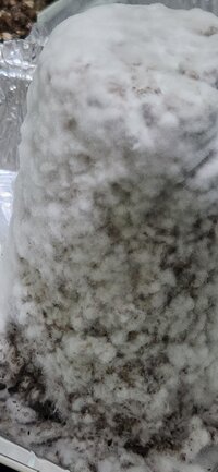 20231127_201348.jpg